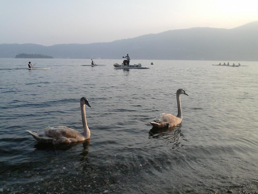 B&B Il Castello Lago Maggiore Con Terrazza Cossogno Eksteriør bilde